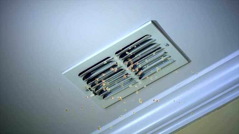 Best Air Duct Cleaning Company Near Me  in Battlement Mesa, CO